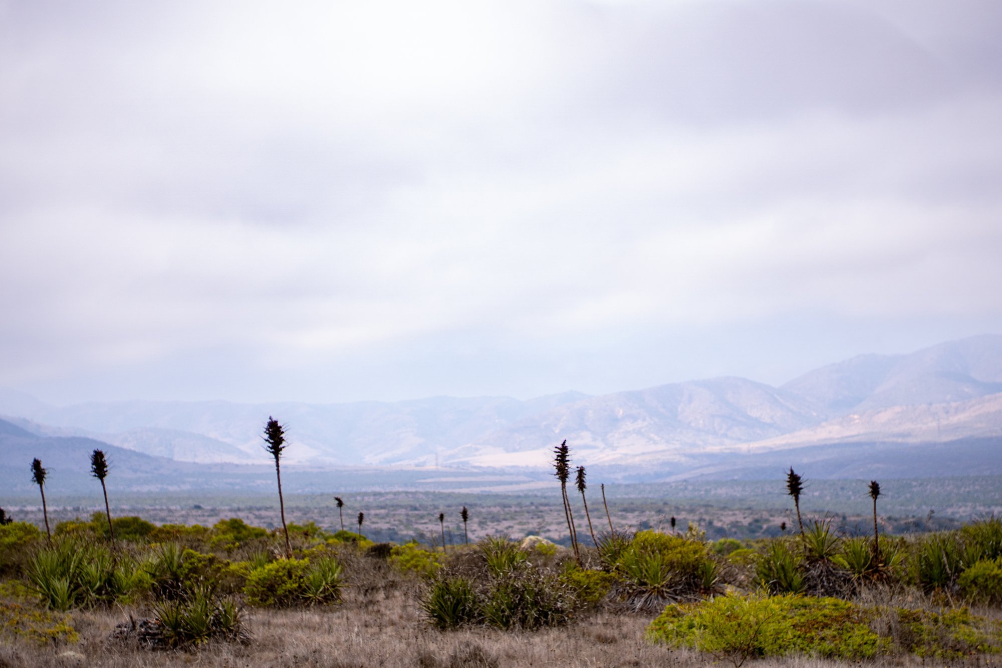 Valle del Mar